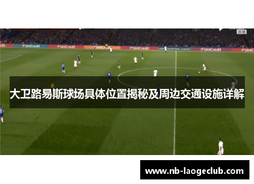 大卫路易斯球场具体位置揭秘及周边交通设施详解 大卫路易斯球场具体位置揭秘及周边交通设施详解