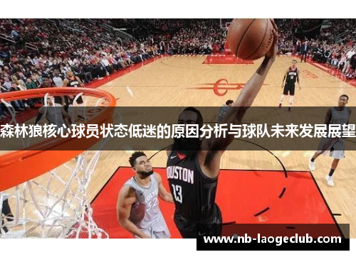 森林狼核心球员状态低迷的原因分析与球队未来发展展望