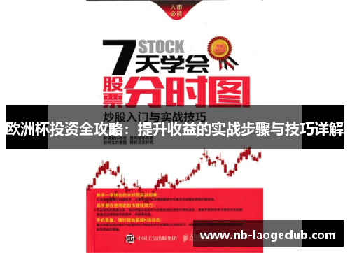 欧洲杯投资全攻略：提升收益的实战步骤与技巧详解