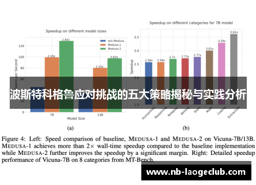 波斯特科格鲁应对挑战的五大策略揭秘与实践分析