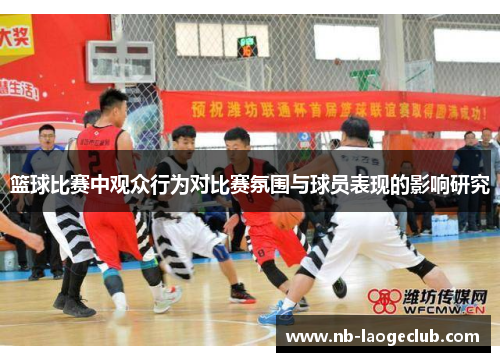 篮球比赛中观众行为对比赛氛围与球员表现的影响研究