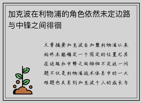 加克波在利物浦的角色依然未定边路与中锋之间徘徊