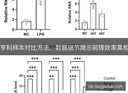 亨利样本对比方法，数据细节揭示前锋效率真相